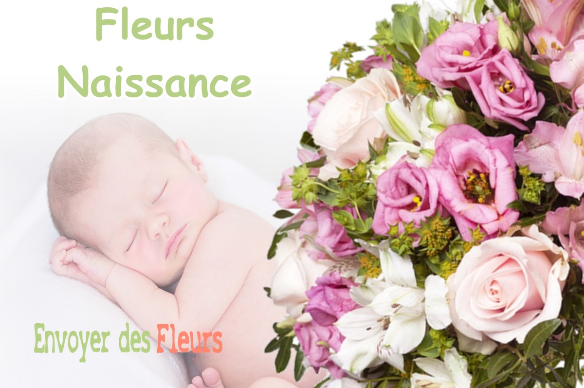 lIVRAISON FLEURS NAISSANCE à SAUVETERRE-DE-COMMINGES